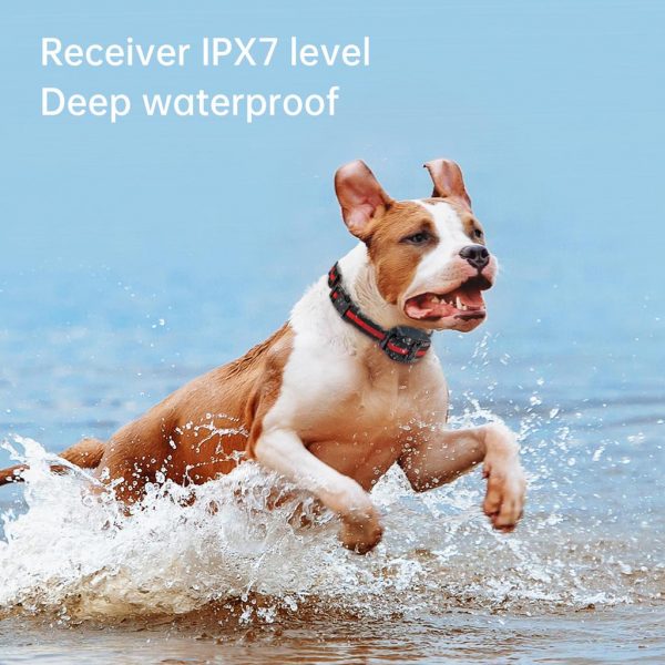 Waterproof IPX7 Upgraded 300m Dog Training Collar Intercom Transmitter Remote Control Electric Shock Vibration Sound with Lock - Image 3