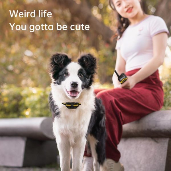 Waterproof IPX7 Upgraded 300m Dog Training Collar Intercom Transmitter Remote Control Electric Shock Vibration Sound with Lock - Image 6